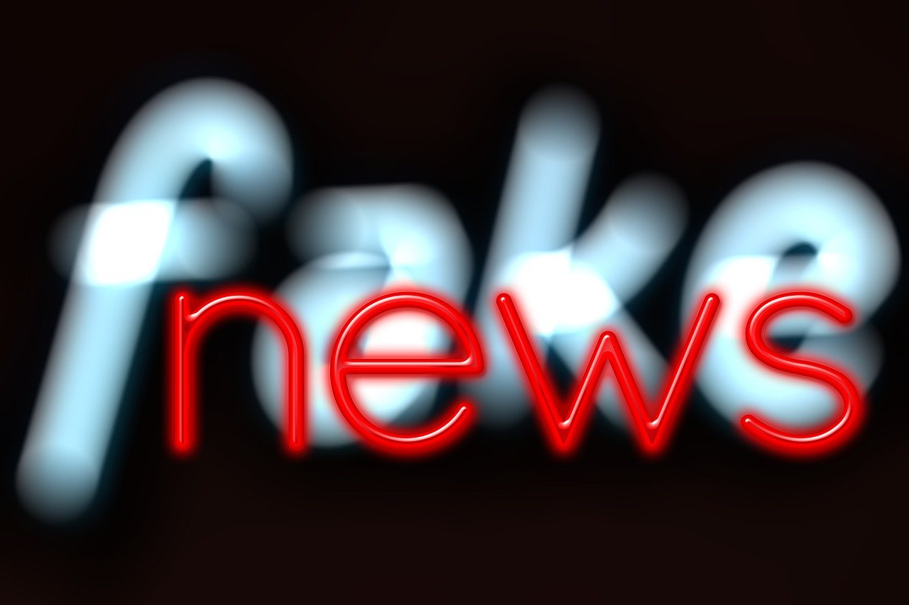 Image showing the words: "fake news"